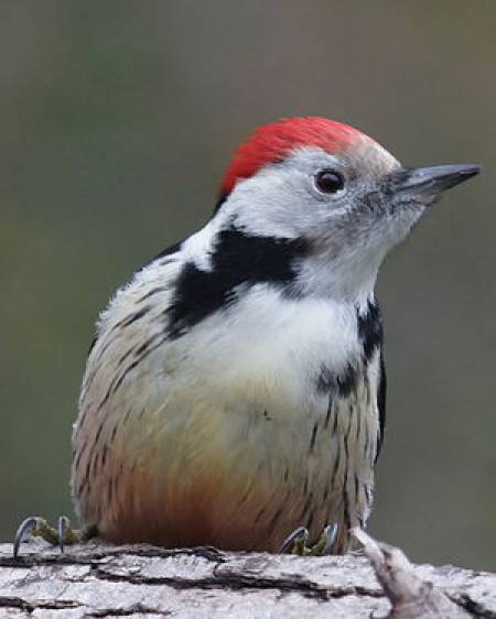 Deje todo por un amor