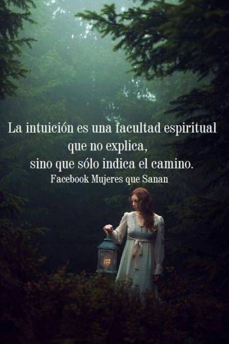 Tarot De Calidad
