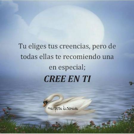 Las mejores ofertas de Tarot.Garantizado.