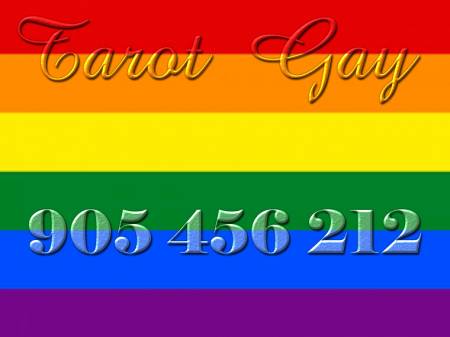 tarot  gay economico