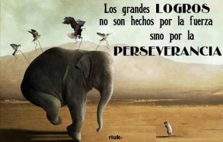 Amistad,Ayuda,Consuelo.