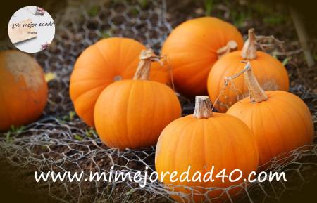 Beneficios de frutos de otoño