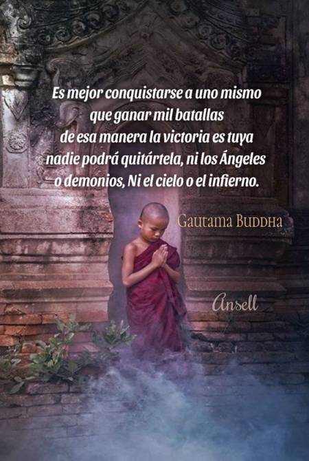 El Aprendizaje En La Vida