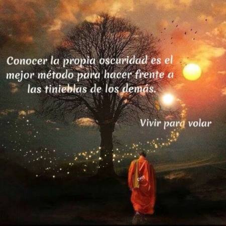 Brillar Con Luz Propia