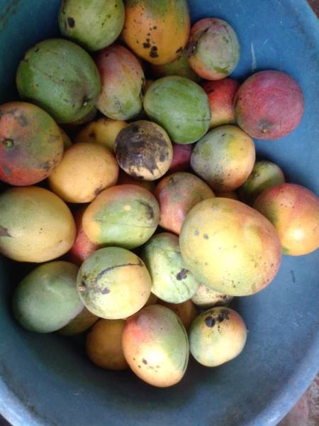 Frutas  muy saludable