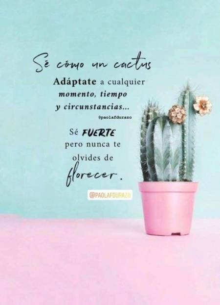 Destino o casualidad