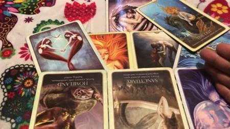 ¿Cuál es el significado si sueñas con Periquitos