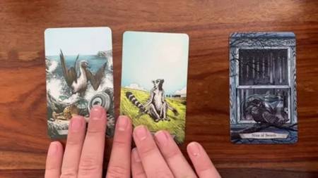 ¿Cuál es el significado si sueñas con Limpiar Casa