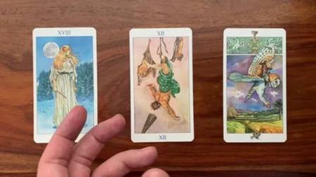 ¿Cuál es el significado si sueñas con Pericos