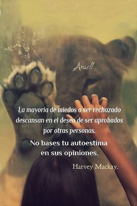 El alma brillará y sanará