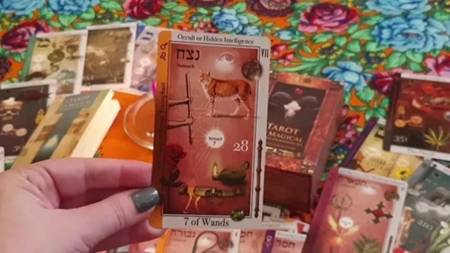 Tarot Económico D Los Arcanos