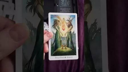 Tirada De Tarot Barato Baraja Española