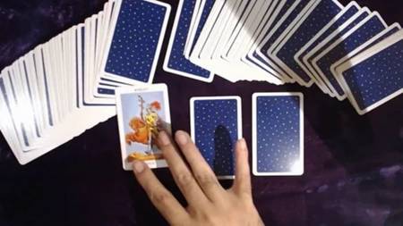 Videntes Famosos Económico