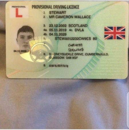 Drop quality at a little price (90usd)