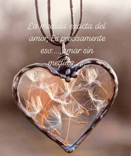 Mirada intuitiva.Damos luz a tu futuro. 