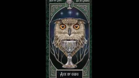 Predicciones De Tarot