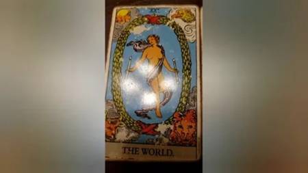 Significado De Soñar Con Cerdos