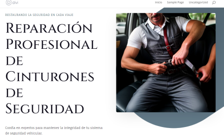 Expertos en la Restauración de Tu Cinturón de Seguridad