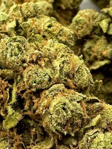 BUY WEED Online WhatsApp +1(202)656-4683 ,CANADA ONLINE, free shipping.