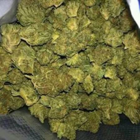 Bellingham Weed Delivery / Buy Cannabis Online | buy psychedelic mushrooms online Email: wizzymillion17@gmail.com