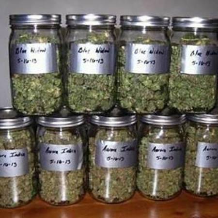 Buy High Quality Cannabis Products | Buy Magic Mushrooms & Shrooms Online Email: wizzymillion17@gmail.com