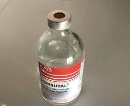Comprar Nembutal (Pentobarbital) sin receta