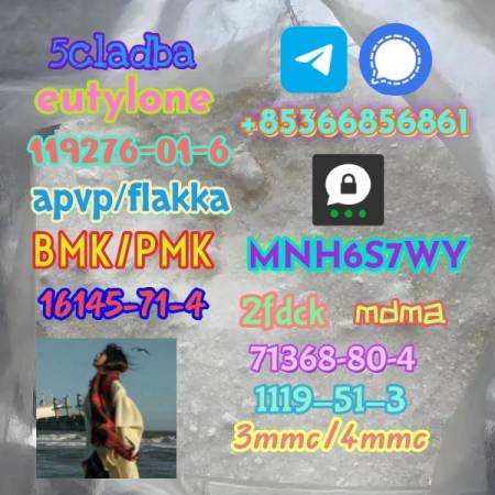 1119-51-3 factory direct sale price discount