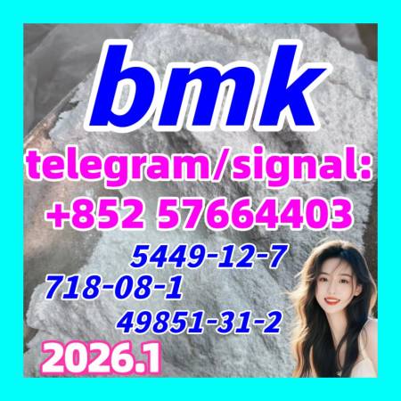 Bmk Glycidic Acid (sodium Salt)5449-12-7 at Best Price 