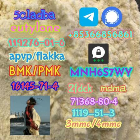 CAS 119276-01-6 14680-51-4 