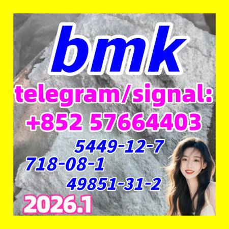 CAS 5449-12-7 Best Selling BMK Glycidic Acid 