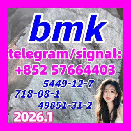 cas 5449-12-7, Bmk Glycidic Acid Sodium Salt Powder