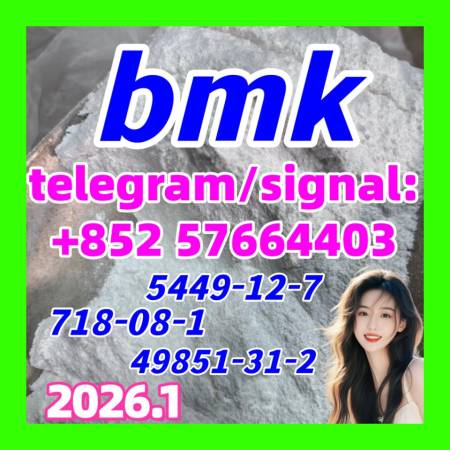 Hong Kong 5449-12-7 New BMK Glycidic Acid 