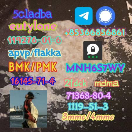 Safe Delivery CAS 119276-01-6 14680-51-4 