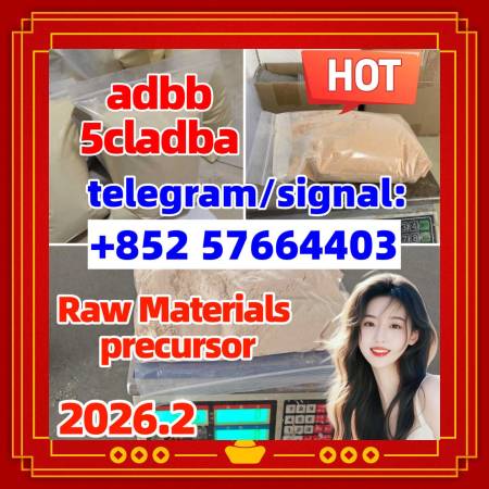 5Cladba 99% Medical Intermediate 5CLADBA