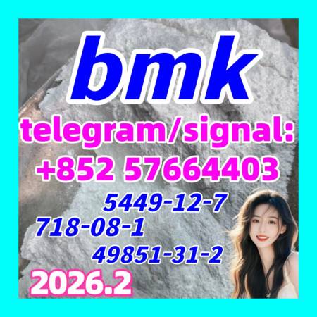 BMK Powder GLYCIDIC ACID (SODIUM SALT) CAS 5449-12-7 photo and picture