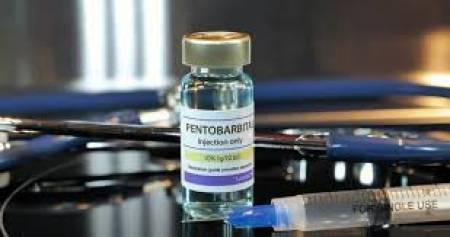 Koop Nembutal van hoge kwaliteit bij de beste leverancier ter wereld///