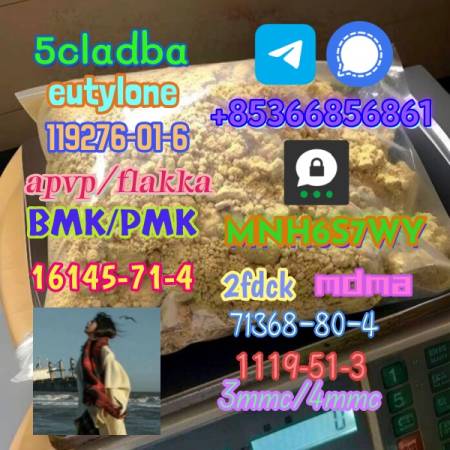 Safe Delivery CAS 119276-01-6 14680-51-4  +85366856861