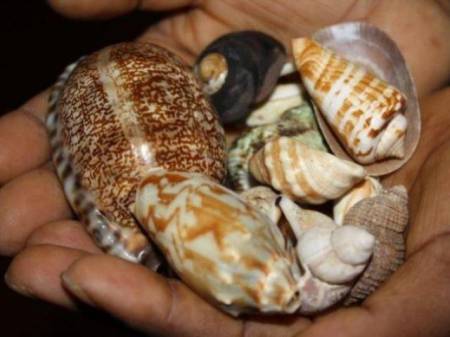 {+256730252540} Cast Death Spells And Revenge Spell By Black magic death spell caster to kill someon