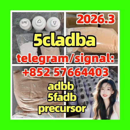 5CL-ADB-A Strongest cannabinoid 5cl-adb-a 5cladba yellow Powde