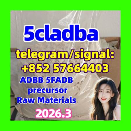 5cladba raw material 5CL-ADB-A precursor raw 5cladba 5f adb