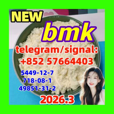 Bmk Powder Oil Cas 5449-12-7 at Best Price 