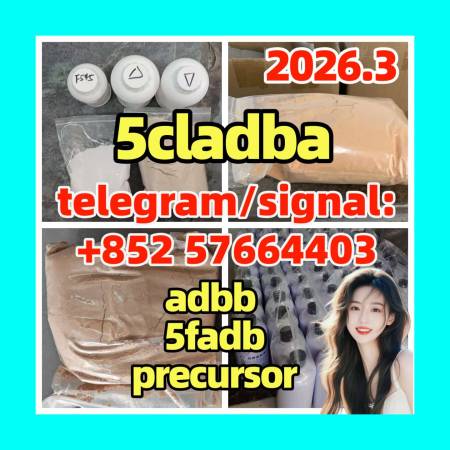   Hima.am -  5cladba raw material 5CL-ADB-A precursor raw 5cladba 5f adb