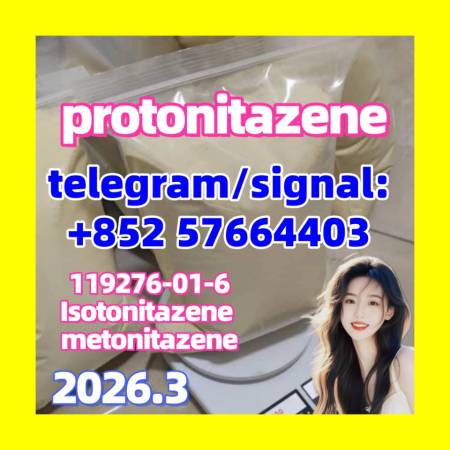 Protonitazene CAS 119276-01-6 protonitazene 119276-01-6 |