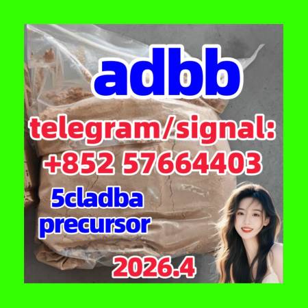 5cladba 5cladba Yellow Powder  5Fadb 