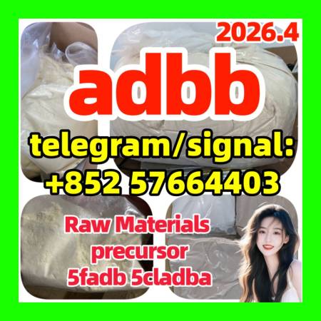 5cladba Original Product Name 5clAdba Synonyms 5clAdba CAS NO. 137350-66-4 Purity Above 99
