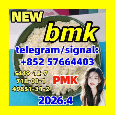 BMK Powder/Oil CAS 5449-12-7 with Germany Stock