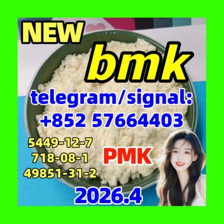 Buy the best BMK Glycidic Acid CAS 5449-12-7