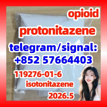 CAS 119276-01-6 Protonitazene Hydrochloride Factory supply 现货