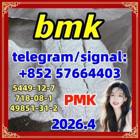 CAS 5449-12-7 BMK Glycidic Acid (sodium salt) 49851-31-2  99.9% Purity CAS 5449-12-7